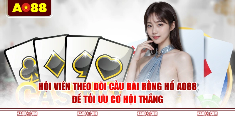 Hội viên theo dõi cầu bài Rồng Hổ AO88 để tối ưu cơ hội thắng