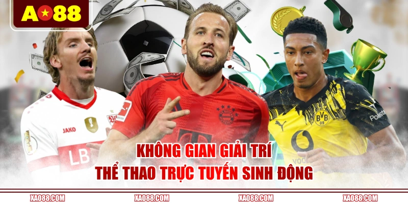 Không gian giải trí thể thao trực tuyến sinh động